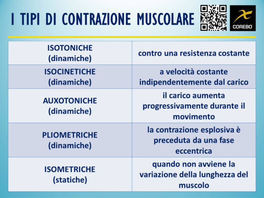 Tipi di contrazione muscolare, guida per neofiti - COREBO