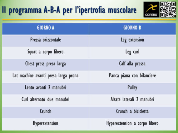 Scheda Palestra Massa Muscolare: Esempi E Guida Pratica