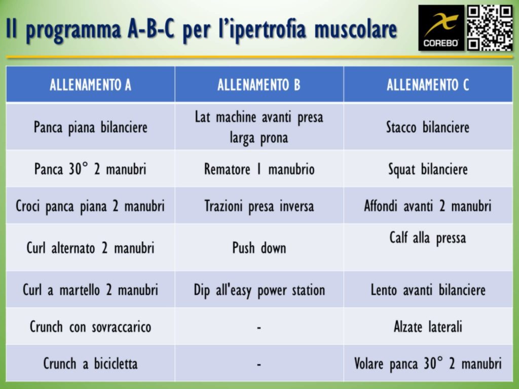 Scheda Palestra Massa Muscolare: Esempi E Guida Pratica