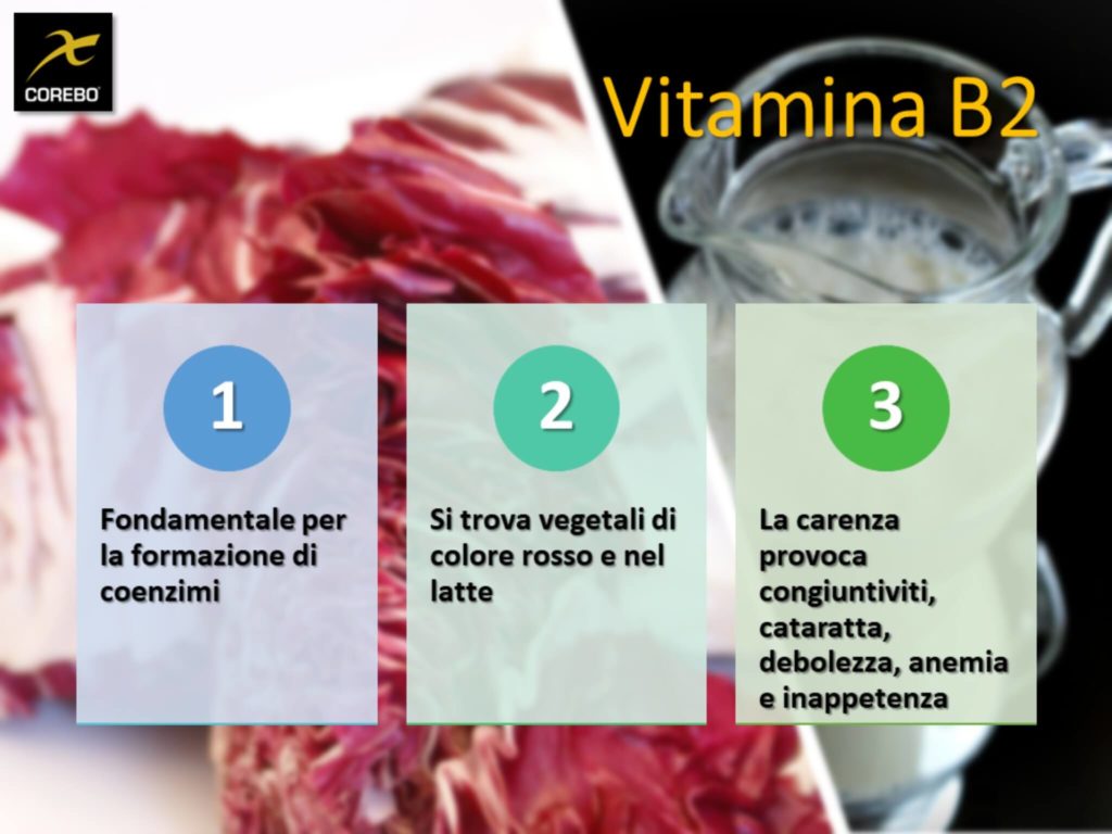 vitamine e alimentazione