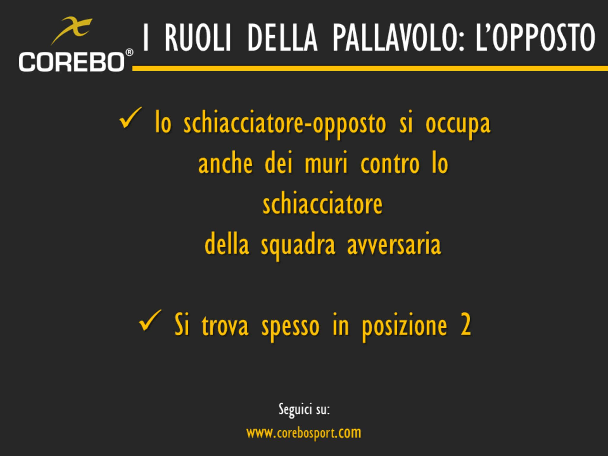 I Ruoli Della Pallavolo: Quali Sono E Come Funzionano? - COREBO